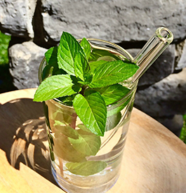 Glass Straw for Infused Waters