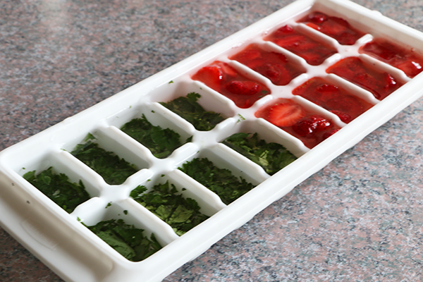 Fruit Infused Ice Cubes — Off the Vine Nutrition